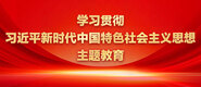 黑丝入肉中出艹比学习贯彻习近平新时代中国特色社会主义思想主题教育_fororder_ad-371X160(2)